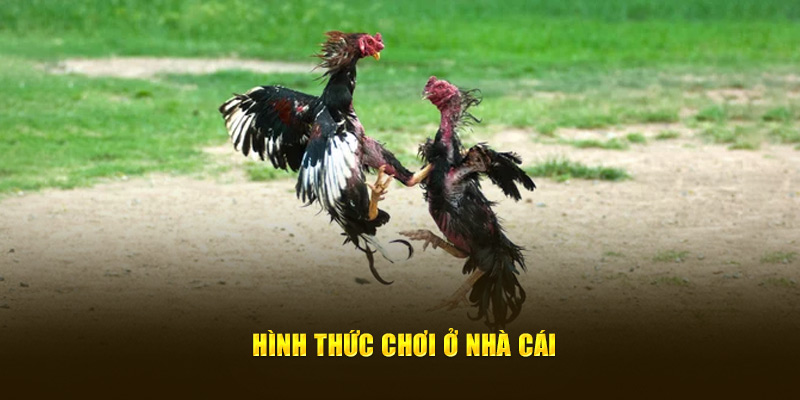 Hình thức chơi ở nhà cái