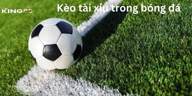 Những hình thái đa dạng của kèo cược tài xỉu tại King88